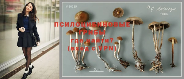 прущий лед Арсеньев