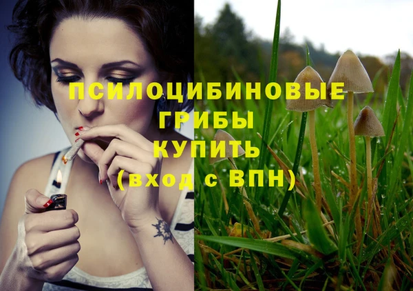 прущий лед Арсеньев
